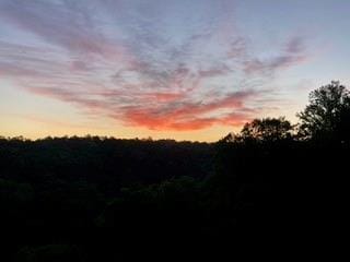 3330 Overland Dr, Roswell, GA 30075 - view of nature at dusk