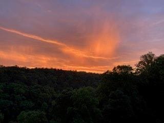 3330 Overland Dr, Roswell, GA 30075 - view of nature at dusk