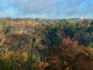 3330 Overland Dr, Roswell, GA 30075 - view of mountain background featuring a heavily wooded area