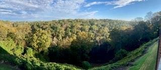 3330 Overland Dr, Roswell, GA 30075 - view of wooded area
