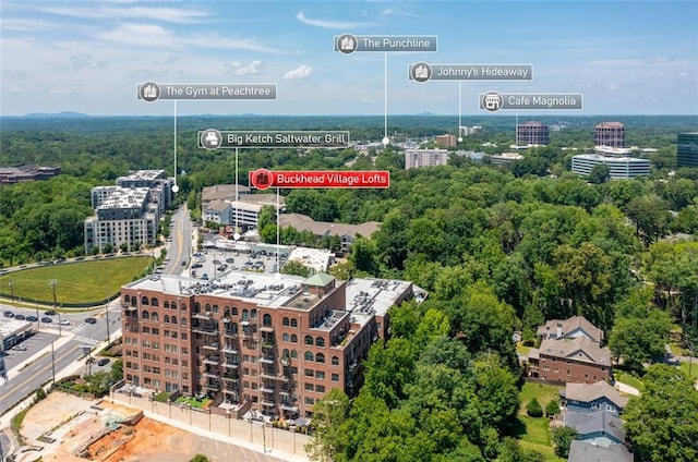 3235 Roswell Rd NE Unit 702, Atlanta, GA 30305 - drone / aerial view of a forest