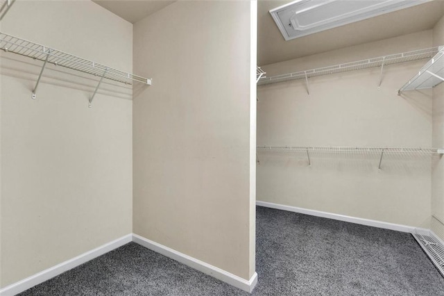 213 Roseman Way, Woodstock, GA 30188 - walk in closet with carpet floors
