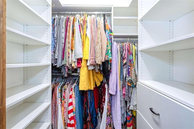 view of spacious closet