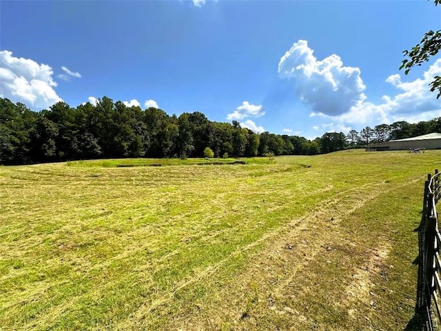 view of yard with a rural view