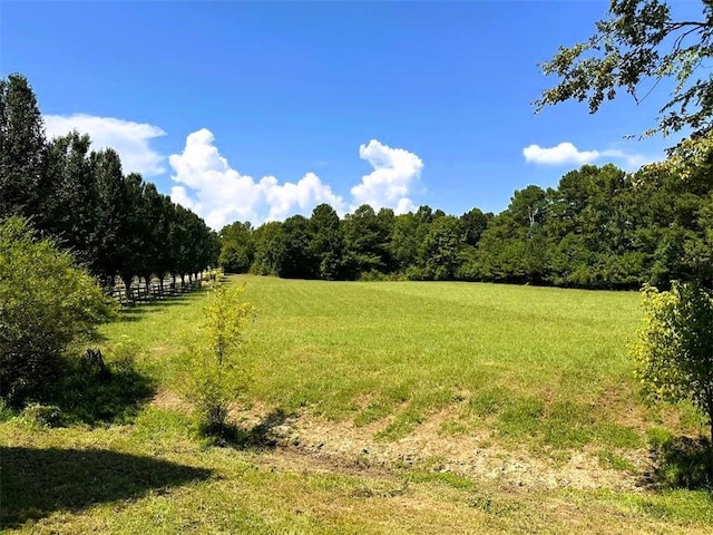 view of landscape with a wooded view and a rural view