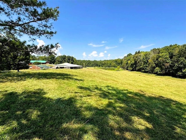 view of yard with a view of trees