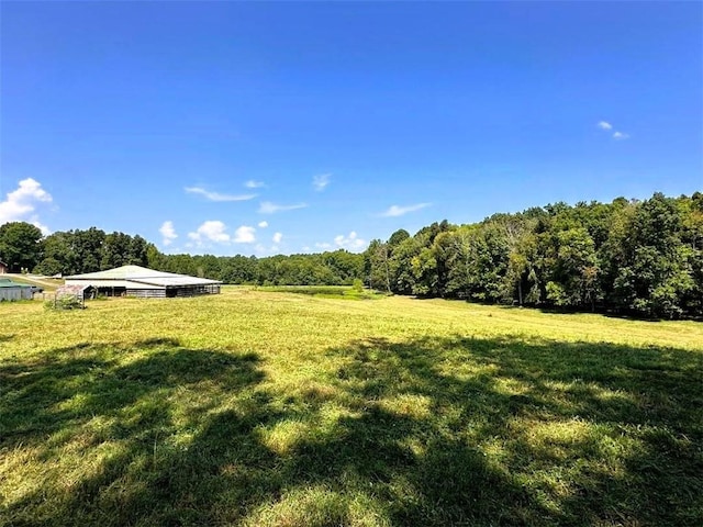 view of yard featuring a rural view