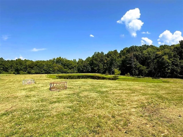 view of yard with a view of trees