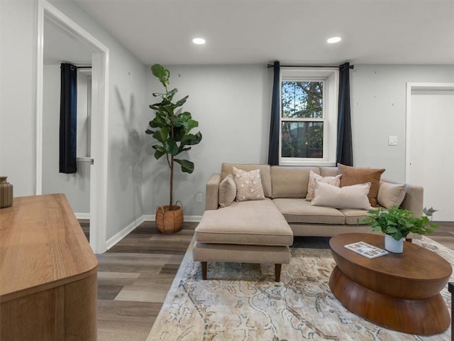 living room featuring hardwood / wood-style flooring