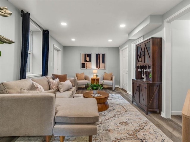 living room featuring wood-type flooring