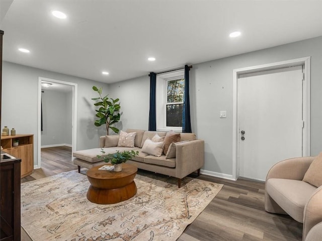 living room featuring hardwood / wood-style floors