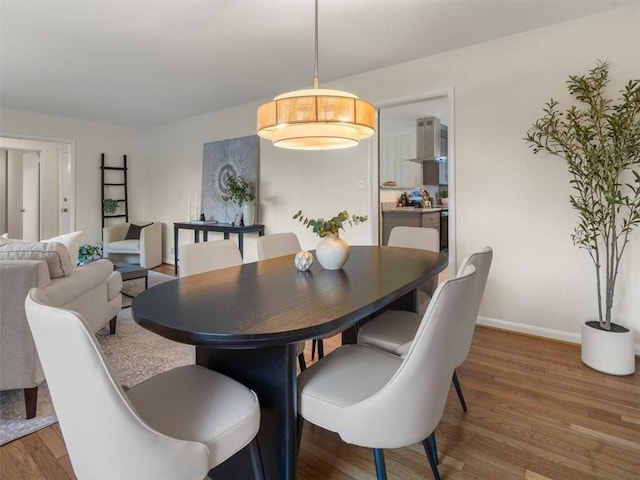 dining room featuring wood-type flooring