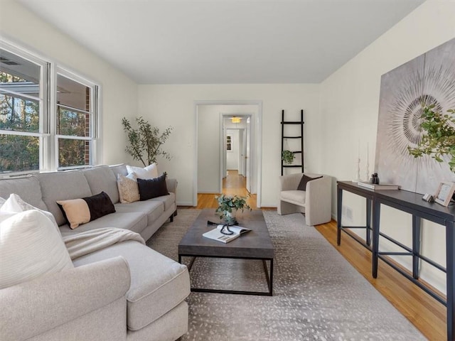 living room with wood-type flooring