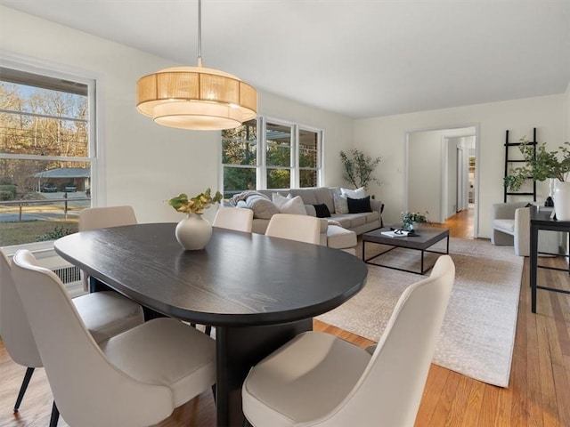 dining area featuring light hardwood / wood-style floors