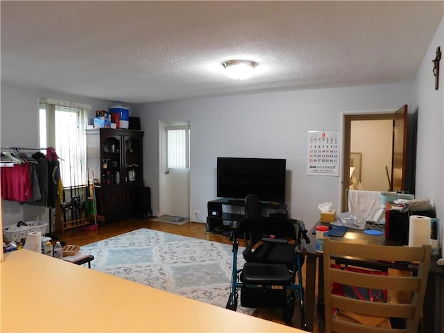 living room with a textured ceiling and hardwood / wood-style floors