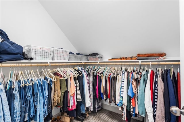 3075 Woodvale Ct, Alpharetta, GA 30022 - spacious closet with lofted ceiling