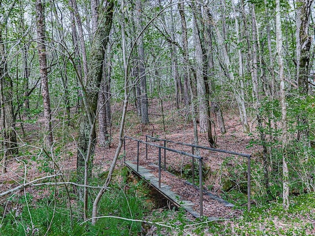 view of local wilderness