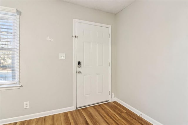 doorway to outside featuring wood-type flooring