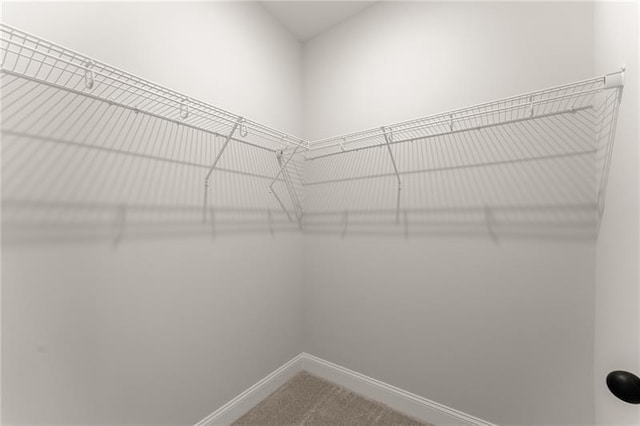 4860 Grandview Ct, Flowery Branch, GA 30542 - walk in closet featuring carpet