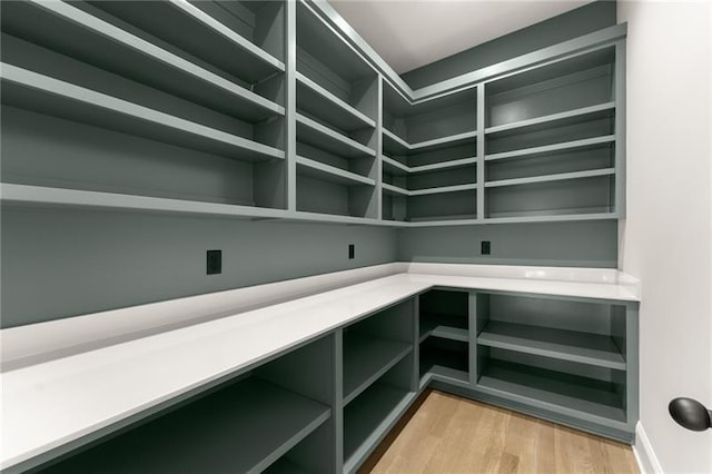 4860 Grandview Ct, Flowery Branch, GA 30542 - view of storage area