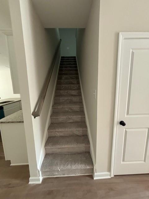 staircase featuring wood-type flooring