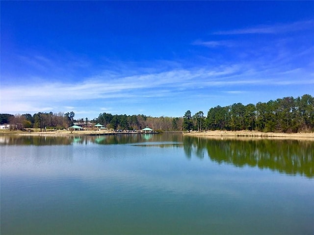 view of water feature