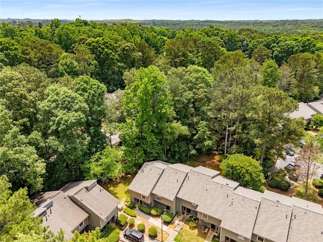 bird's eye view of a forest