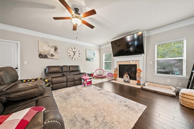 living room with ceiling fan, crown molding, dark wood-type flooring, and a wealth of natural light