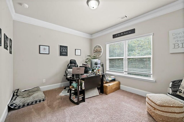 carpeted office with crown molding