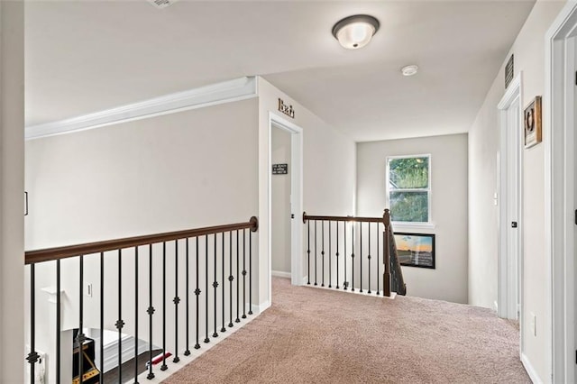 hallway with carpet