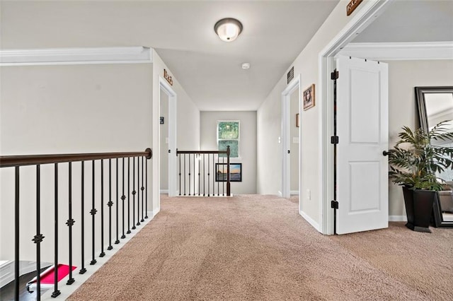 corridor with carpet flooring and crown molding