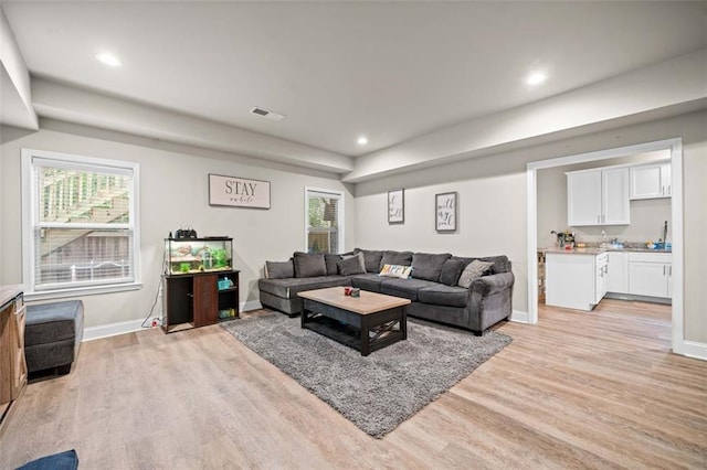 living room with a healthy amount of sunlight and light hardwood / wood-style floors