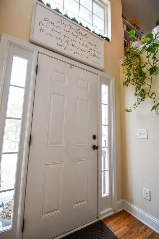 entrance foyer with hardwood / wood-style flooring and plenty of natural light