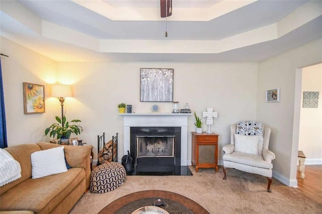 interior space with a raised ceiling and carpet flooring