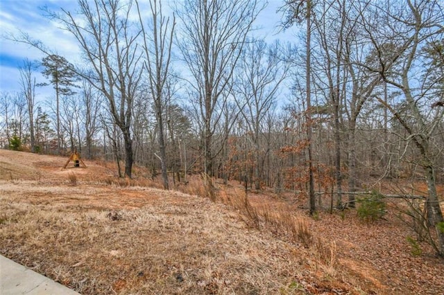 view of local wilderness