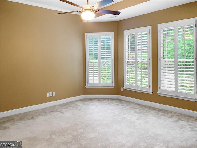 spare room with carpet, baseboards, and ceiling fan