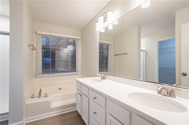 bathroom featuring vanity, hardwood / wood-style floors, and a bath