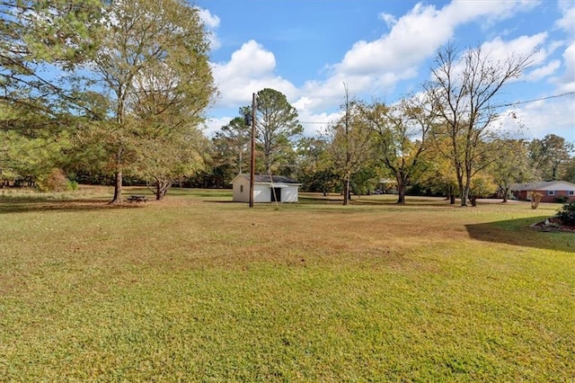 view of yard featuring a storage shed