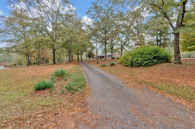 view of road