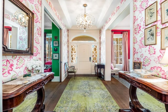 foyer featuring plenty of natural light, dark wood-type flooring, and an inviting chandelier