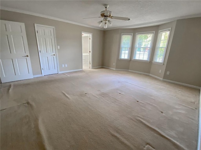 carpeted spare room with ceiling fan and ornamental molding