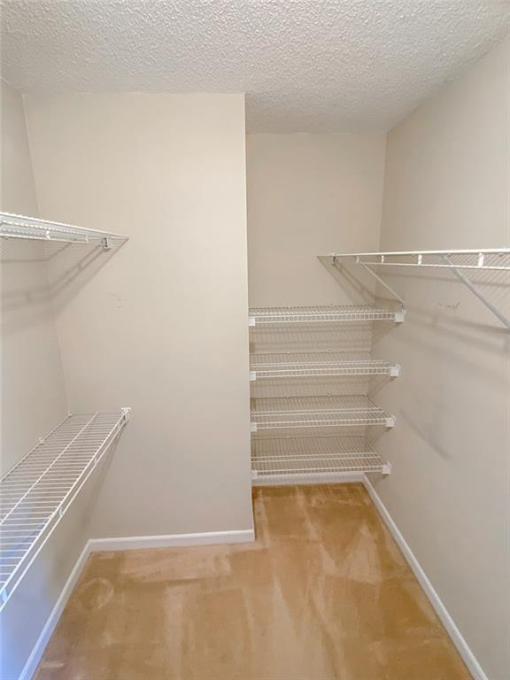 walk in closet featuring carpet