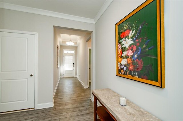 hallway with hardwood / wood-style floors and ornamental molding