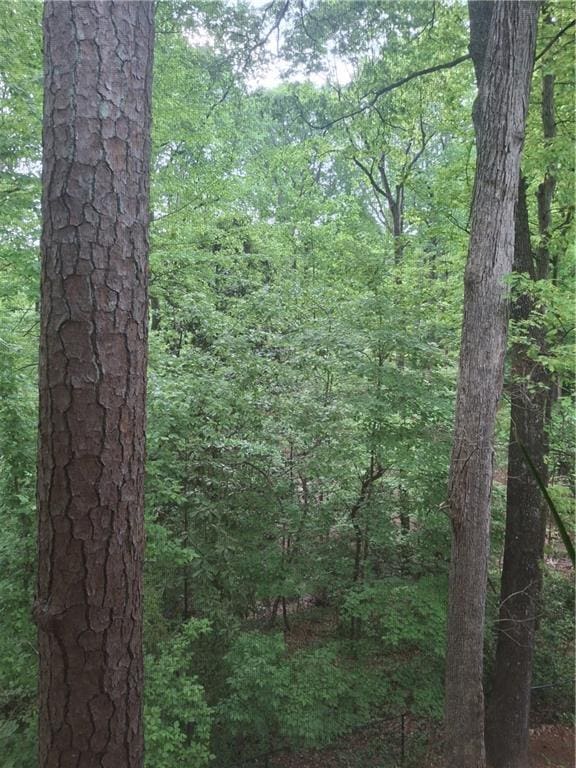 1111 Clairemont Ave Unit N5, Decatur, GA 30030 - view of nature featuring a forest view