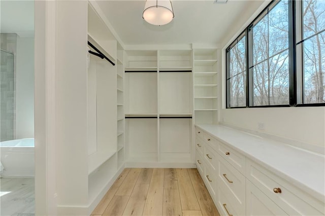 789 Old Mill Ct, Ball Ground, GA 30107 - spacious closet with light wood-style flooring