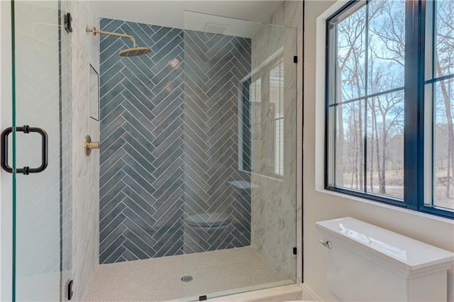789 Old Mill Ct, Ball Ground, GA 30107 - bathroom with plenty of natural light, a shower stall, and toilet