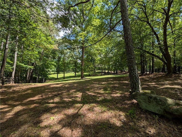 789 Old Mill Ct, Ball Ground, GA 30107 - view of yard
