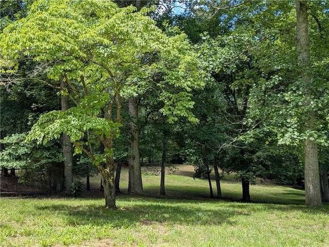 789 Old Mill Ct, Ball Ground, GA 30107 - view of grassy yard