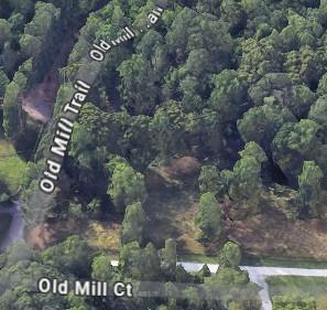 789 Old Mill Ct, Ball Ground, GA 30107 - aerial view of property and surrounding area with a forest