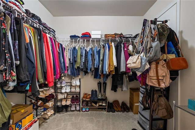 spacious closet with carpet flooring